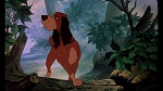 Image Fox and the Hound