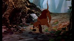 Image Fox and the Hound