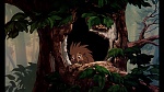 Image Fox and the Hound