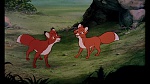 Image Fox and the Hound