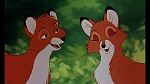 Fox and the Hound picture
