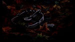 Fox and the Hound picture