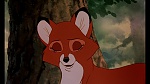 Fox and the Hound picture