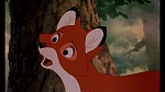 Image Fox and the Hound