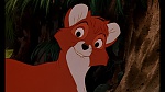 Image Fox and the Hound