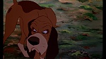 Image Fox and the Hound