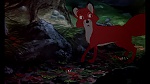 Image Fox and the Hound