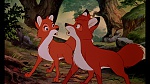 Image Fox and the Hound