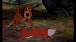 Fox and the Hound picture