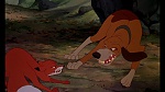 Image Fox and the Hound