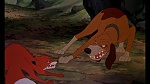 Image Fox and the Hound