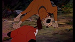 Fox and the Hound picture