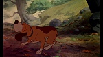 Image Fox and the Hound
