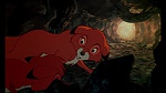 Image Fox and the Hound