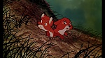 Image Fox and the Hound