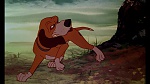 Image Fox and the Hound