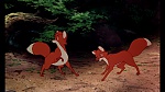 Fox and the Hound picture