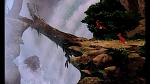 Image Fox and the Hound