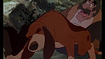 Image Fox and the Hound