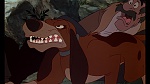 Fox and the Hound picture