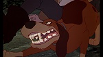 Image Fox and the Hound