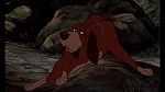 Image Fox and the Hound