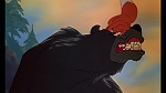 Image Fox and the Hound