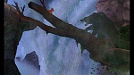 Fox and the Hound picture