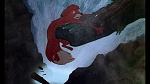 Image Fox and the Hound