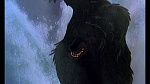 Image Fox and the Hound