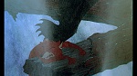 Image Fox and the Hound