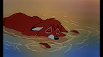 Image Fox and the Hound