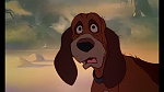 Fox and the Hound picture