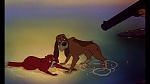 Image Fox and the Hound