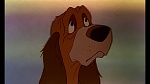 Fox and the Hound picture
