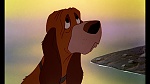 Image Fox and the Hound