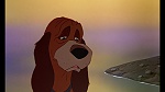 Image Fox and the Hound