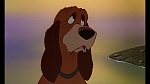 Fox and the Hound picture