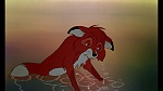 Image Fox and the Hound