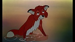 Image Fox and the Hound