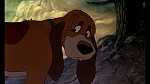 Image Fox and the Hound
