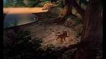 Image Fox and the Hound