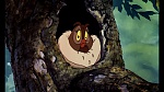 Image Fox and the Hound