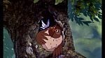 Image Fox and the Hound