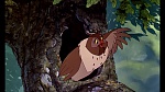 Image Fox and the Hound