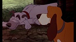Image Fox and the Hound