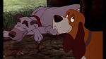 Fox and the Hound picture