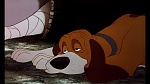 Image Fox and the Hound