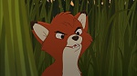 Fox and the Hound 2 picture