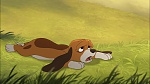 Fox and the Hound 2 picture